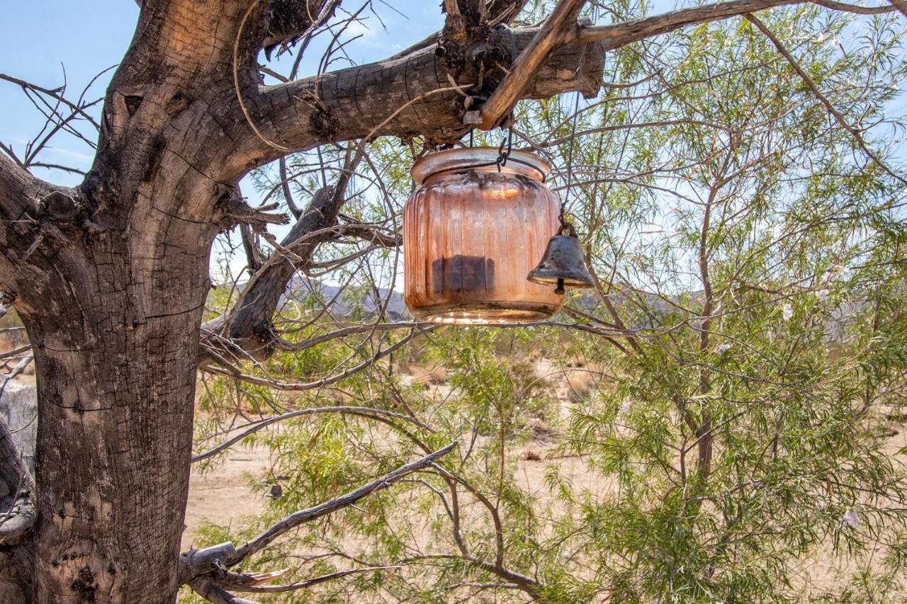 @ Marbella Lane - The Moon Designer Home Right Behind The Jtnp Джошуа-Три Экстерьер фото